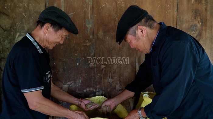 Ông Thào Chờ Sàng là 1 trong những hộ thoát nghèo từ sự vận động của ông Của.