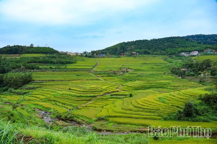 Có một Miền Đồi thơ mộng như thế