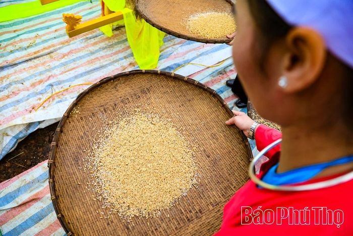 Thành quả của người nông dân vùng cao
