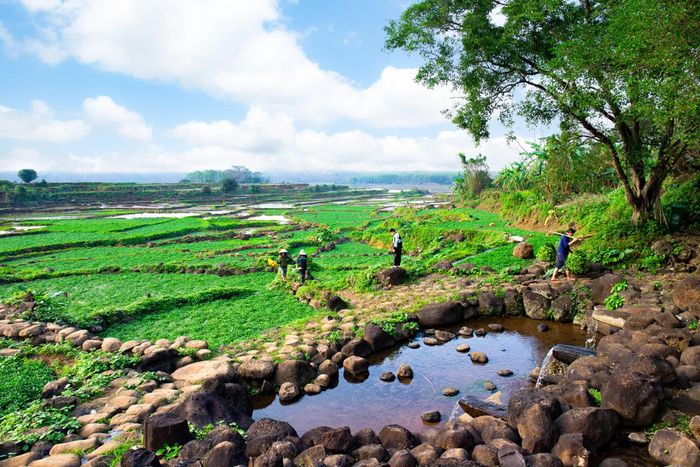 Hệ thống giếng cổ hầu hết đều nằm ở chân sườn các quả đồi đất đỏ bazan, quanh năm không bao giờ cạn.