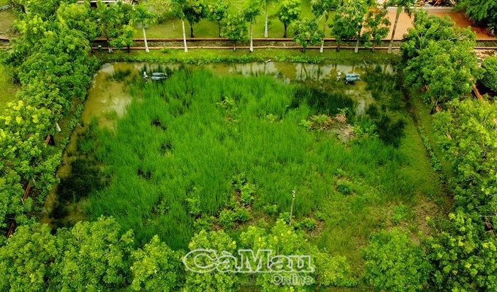 Đồng Nọc Nạng - nơi gia đình nông dân Mười Chức khẩn hoang.