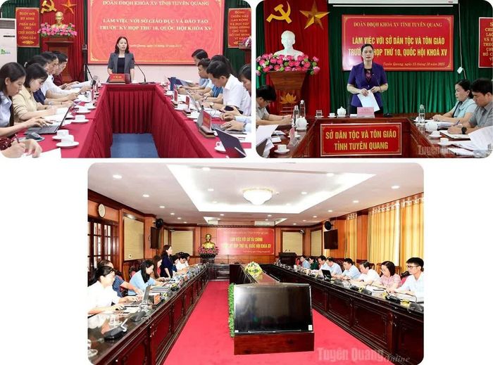 Đoàn Đại biểu Quốc hội tỉnh thực hiện giám sát chuyên đề và làm việc với các sở, ngành của tỉnh.