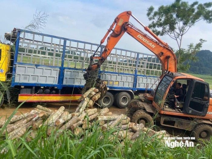 Xe vận chuyển cao su bị đổ gãy tại phường Tây Hiếu. Ảnh: Văn Trường