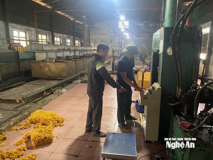 Xưởng chế biến cà phê - cao su (Công ty TNHH MTV Cà phê - Cao su Nghệ An) thiếu nguyên liệu hoạt động cầm chừng. Ảnh: Văn Trường