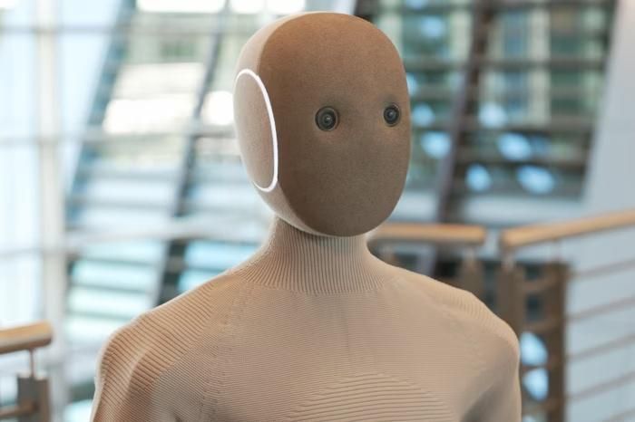 Robot Neo không có khả năng tự động hóa mọi việc như quảng cáo. Ảnh: WSJ.