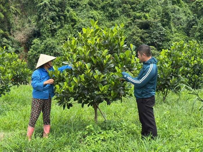 Người dân xã Pắc Ta tích cực lao động sản xuất, nâng cao thu nhập, xóa đói giảm nghèo.