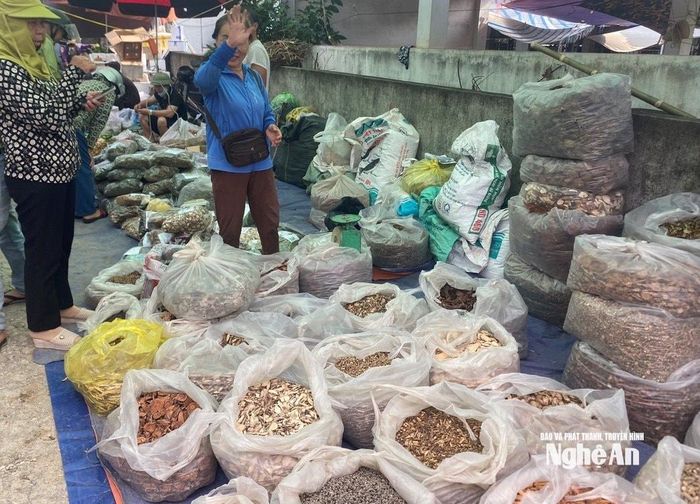 Các loại thuốc đông y, thảo dược bày bán tràn lan ở chợ Dinh xã Yên Thành đều không có nguồn gốc. Ảnh: Văn Trường