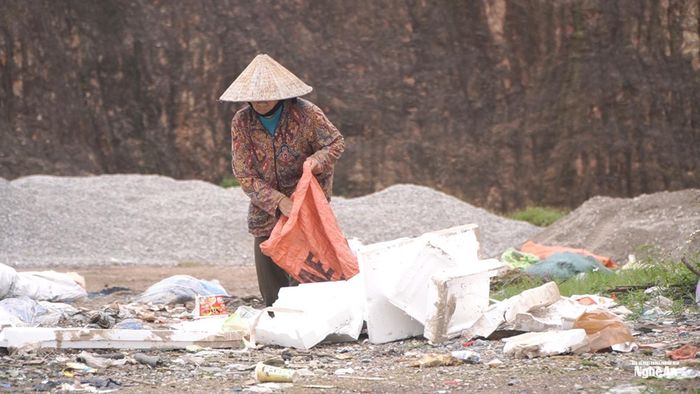 Việc nhặt phế liệu của bà Loan ngày càng khó khăn hơn.
