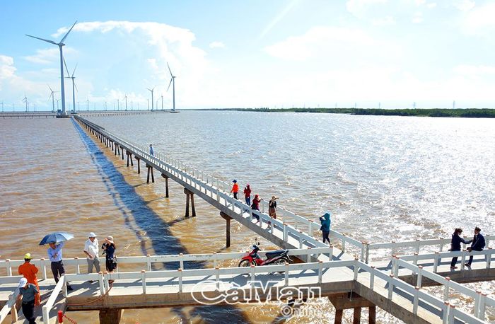 Du khách tham quan điện gió Bạc Liêu, phường Hiệp Thành. (Ảnh: HỮU THỌ)