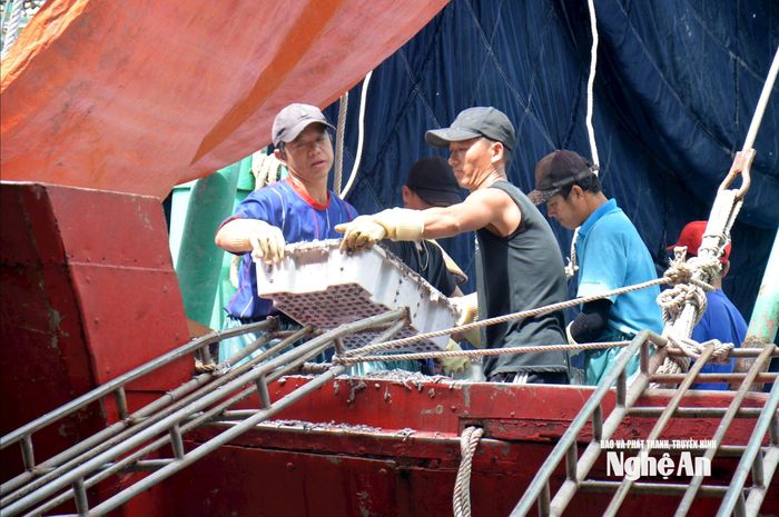 Khi “tấm lá chắn” bảo hiểm được củng cố, ngư dân sẽ thêm vững tin bám biển. Ảnh: Xuân Hoàng