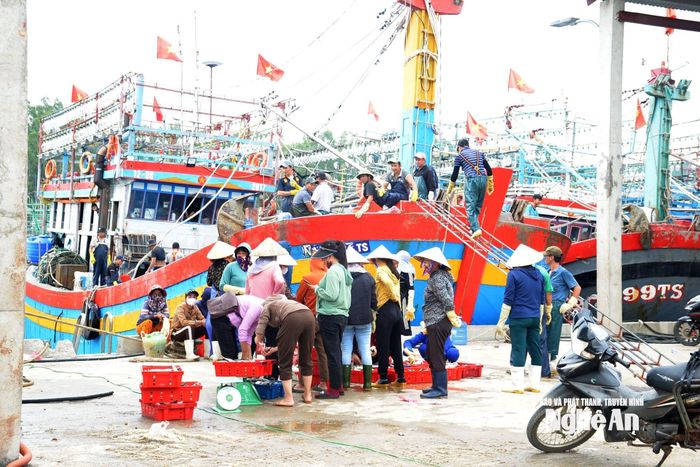 Tàu cá công suất lớn là tài sản lớn của ngư dân, tạo việc làm cho hàng chục lao động, do vậy, việc tham gia bảo hiểm là rất quan trọng đối với ngư dân. Ảnh: Xuân Hoàng