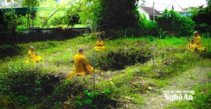 Chư tăng thực hành nghi lễ tại khu vực nền tháp, thể hiện sự trân trọng đối với di sản Phật giáo xưa. Ảnh: Như Phong