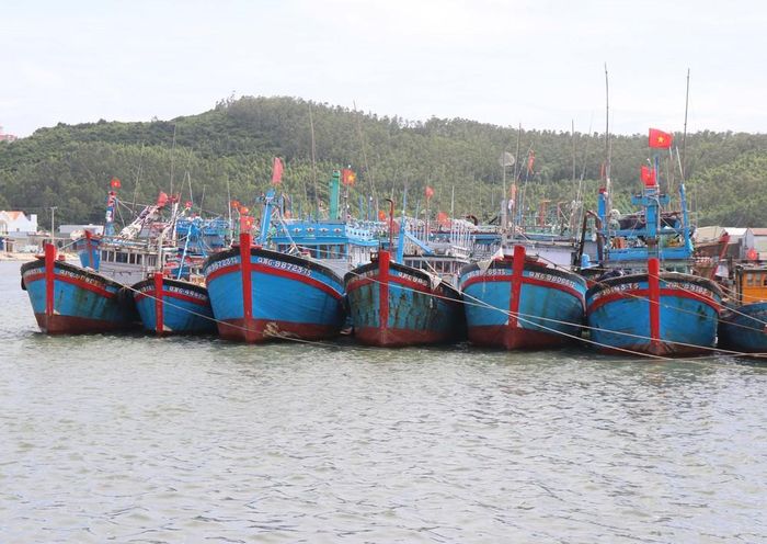 Tàu cá ngư dân Quảng Ngãi neo đậu tại cảng cá Sa Huỳnh tránh trú bão số 13. Ảnh: Phạm Cường-TTXVN