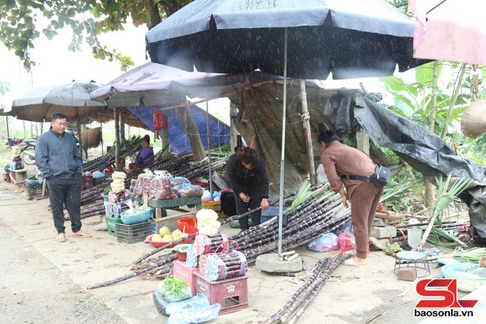 Khách hàng chọn mua mía tím về làm quà.