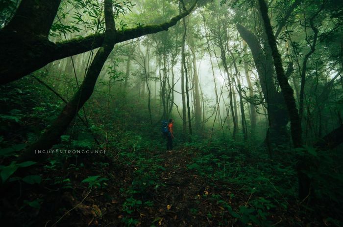 Cách trung tâm thành phố Sơn La khoảng 100 km và Hà Nội hơn 200 km, Sa Mu không phải là điểm đến dễ dàng. Quãng đường xa, đèo dốc quanh co, nhưng chính điều đó lại khiến hành trình trở nên đáng giá. Với những ai yêu trải nghiệm, muốn thử thách bản thân, Sa Mu luôn có sức hút riêng – bình dị, hoang sơ mà cuốn hút đến lạ. Ảnh: Nguyễn Trọng Cung