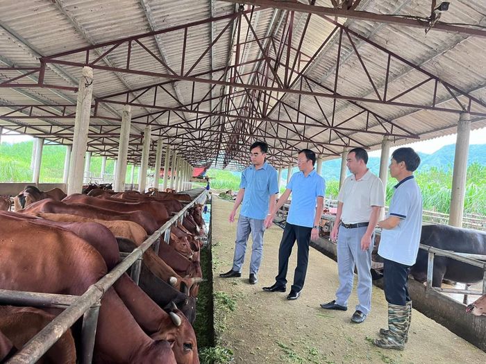 Thông qua các ý kiến của cử tri, chính sách hỗ trợ sinh kế đến người dân ở xã Than Uyên được triển khai kịp thời.