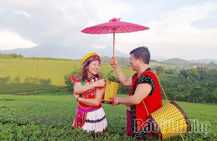 Tu Vũ thu hút khách du lịch đến trải nghiệm