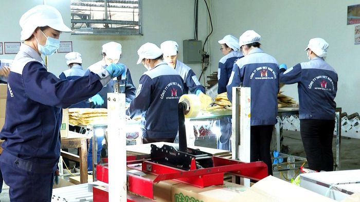 Công nhân Công ty TNHH Vietnam Misaki (Khu công nghiệp Thanh Bình) tập trung sản xuất, hoàn thiện đơn hàng nông sản xuất khẩu sang thị trường Nhật Bản. Ảnh: T.L