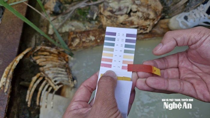 Giấy quỳ tím sau khi ngâm vào nước chảy ra từ hầm lò chuyển màu đỏ sẫm, đối chiếu với bảng màu cho thấy độ pH 