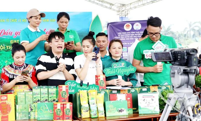 Livestream bán hàng trực tuyến đã trở thành việc làm thường xuyên của các HTX, tổ hợp tác trên địa bàn tỉnh. Ảnh: T.L