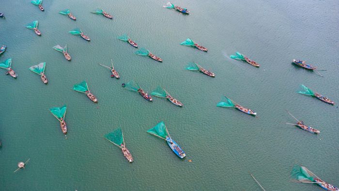 Tấp nập thuyền khai thác ruốc biển nhìn từ trên cao. Ảnh: BẢO LÂM