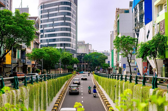 Khung cảnh yên bình tại một góc trung tâm Đà Nẵng. Ảnh: BẢO LÂM