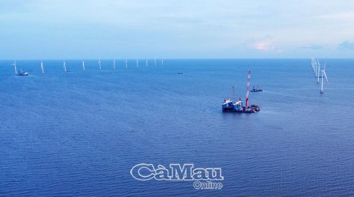 Dự án điện gió Bạc Liêu giai đoạn 3 trên vùng biển thuộc địa bàn phường Hiệp Thành được nhà đầu tư tiếp tục triển khai.