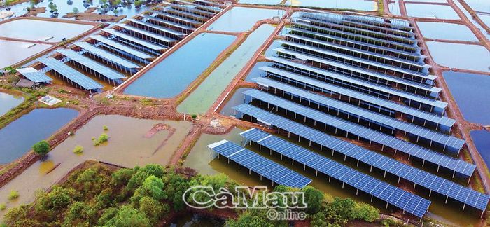 Dự án điện mặt trời kết hợp với sản xuất nông nghiệp giúp nhân đôi hiệu quả kinh tế.