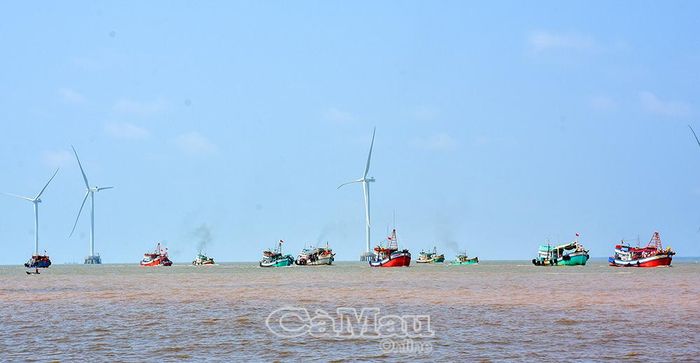 Cà Mau tích cực phối hợp với các bộ, ngành, sẵn sàng xuất khẩu điện từ điện gió ngoài khơi.