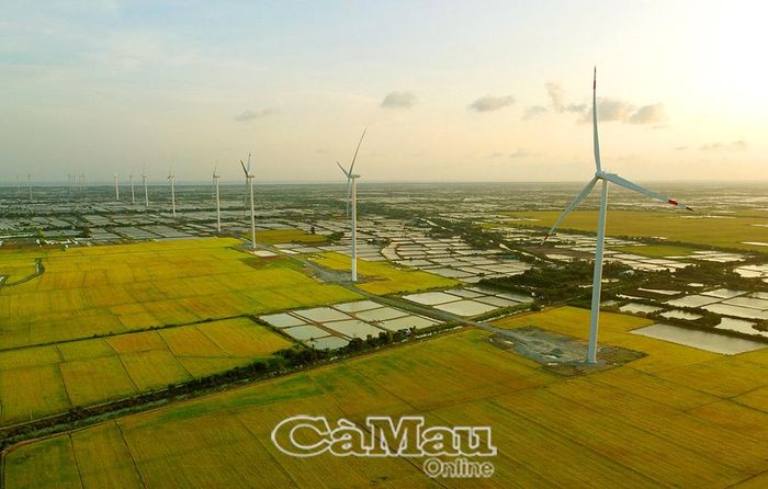 Bên cạnh các dự án trên biển, Cà Mau còn phát triển một số dự án điện gió trên đất liền.