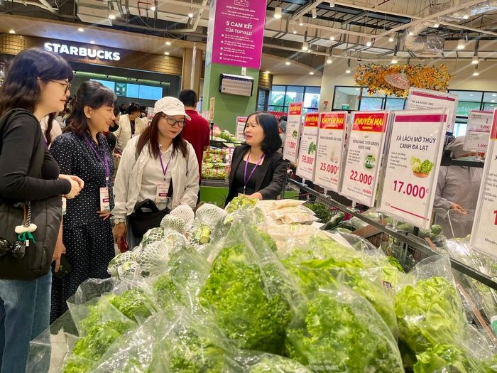  Rau ăn lá tại siêu thị, trung tâm thương mại có mức giá cạnh tranh, nhiều khuyến mãi nên được người tiêu dùng quan tâm. Ảnh: THI HỒNG 