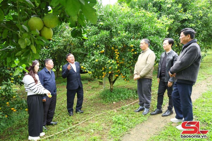 Lãnh đạo Liên minh HTX tỉnh tuyên truyền nội dung chuyển đổi số tại HTX Cây ăn quả an toàn bản Ôn, phường Thảo Nguyên. 