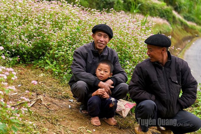 Chủ một vườn hoa ở xã Sủng Là cho biết, từ cuối tháng 10, anh cùng gia đình đã bắt đầu gieo hạt trên sườn đồi để kịp mùa hoa phục vụ du khách. Mỗi lượt khách vào vườn chụp ảnh chỉ 10 nghìn đồng, số tiền không lớn nhưng đủ giúp gia đình có thêm thu nhập trong mùa hoa.