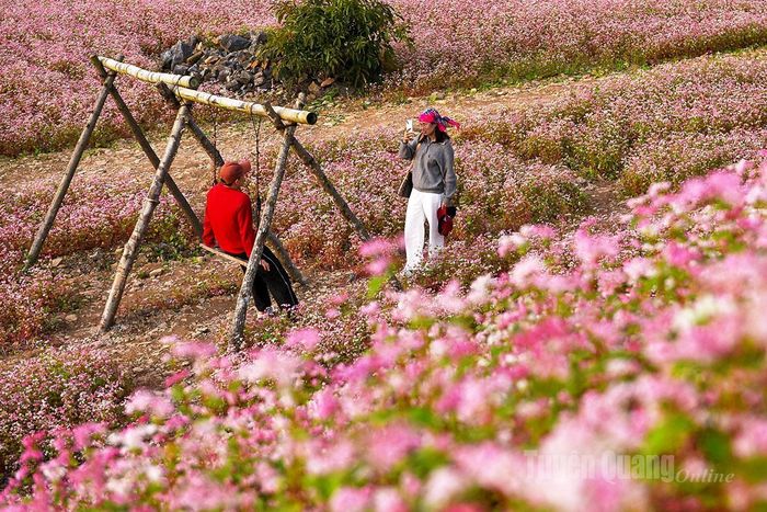 Du khách thích thú chụp ảnh để lưu giữ những khoảnh khắc đẹp nhất.