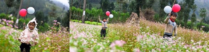 Trẻ em nô đùa bên nương hoa, tiếng cười tan trong gió lạnh đầu mùa.