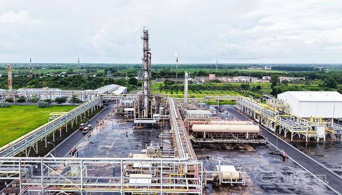 Từ hệ thống Nhà máy Khí, lượng khí được cung cấp cho sản xuất điện, đạm và khí thương phẩm, đóng góp rất lớn và trở thành trụ cột quan trọng trong tổng thể nền kinh tế của Cà Mau và cả nước.
