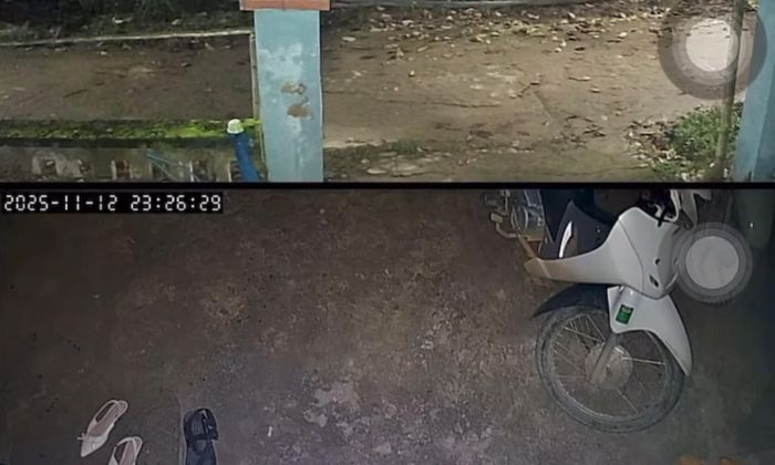 Người dân ở Hà Nội cảm nhận rung lắc nhẹ vào khoảng 23h26 ngày 12/11. (Ảnh: Chụp màn hình)