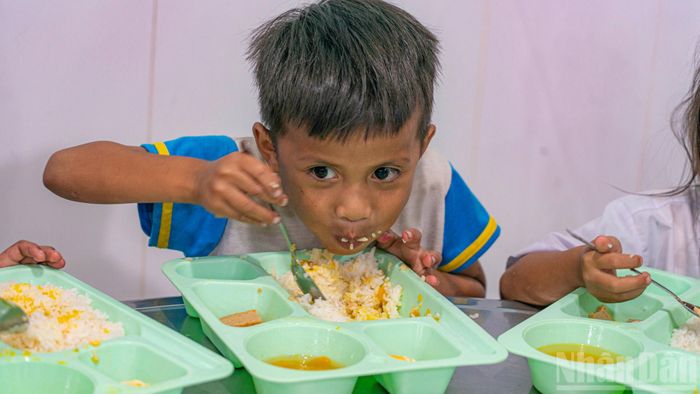  Những bữa cơm đầy đủ dinh dưỡng và vô cùng ngon miệng. 