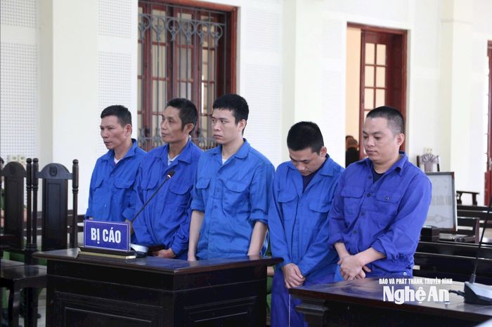 Các bị cáo tại phiên tòa. Ảnh: Trần Vũ