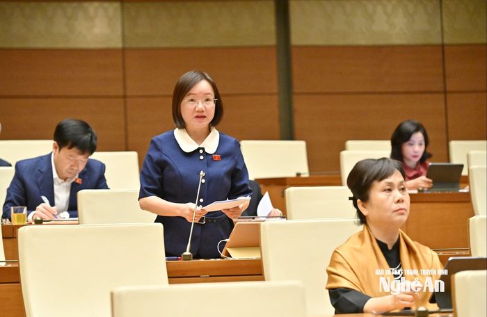 Bà Thái Thị An Chung - Ủy viên Ban Chấp hành Đảng bộ tỉnh, Phó Trưởng đoàn chuyên trách Đoàn ĐBQH tỉnh Nghệ An phát biểu thảo luận. Ảnh: Nam An