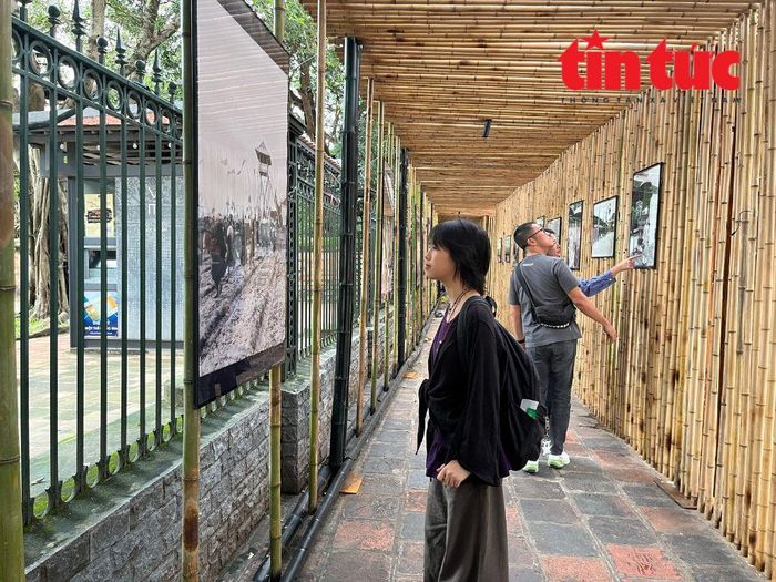 Bạn trẻ Thanh Ngọc thường tìm đến những không gian sáng tạo, những điểm trưng bày triển lãm như một hình thức giải trí khi rảnh.