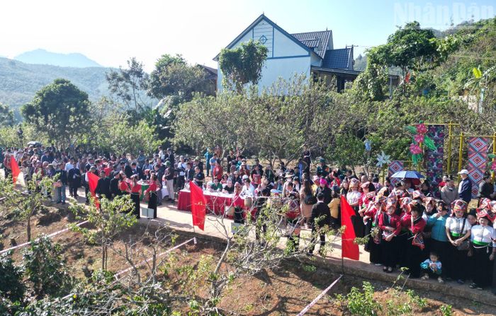 Đông đảo du khách ngoài tỉnh và người dân trong tỉnh đã tới trải nghiệm, tham gia cổ vũ các đội thi tại cuộc thi hái cà-phê.