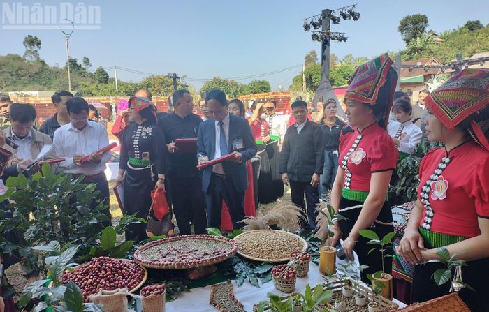 Ban Giám khảo chấm điểm độc lập theo 5 tiêu chí: Tính sáng tạo và mức độ bám sát chủ đề; kỹ thuật tạo hình và bố cục tổng thể; chất liệu và tỷ lệ sử dụng cà-phê; tính thân thiện môi trường và khả năng ứng dụng và phần thuyết minh.