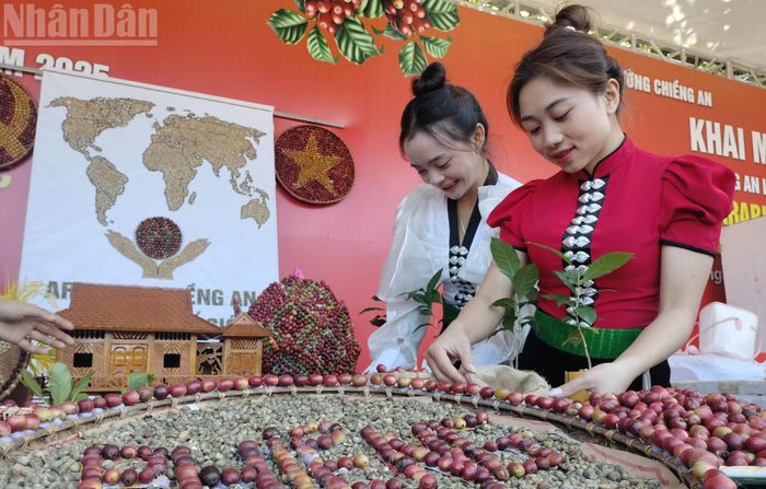 Đội thi đến từ bản Phiêng Tam chuẩn bị các tác phẩm thi bảo đảm nguyên liệu cà-phê chiếm tối thiểu 70%, đáp ứng yêu cầu về kỹ thuật tạo hình, bố cục và tính ứng dụng.
