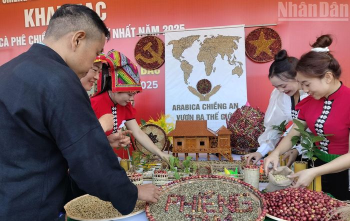 Các đội thi còn chú trọng lựa chọn hạt, thân, lá, vỏ cà-phê và các vật liệu phụ trợ phù hợp để hoàn thiện sản phẩm theo đúng tiêu chí của Ban tổ chức với sự sáng tạo riêng của đội thi.