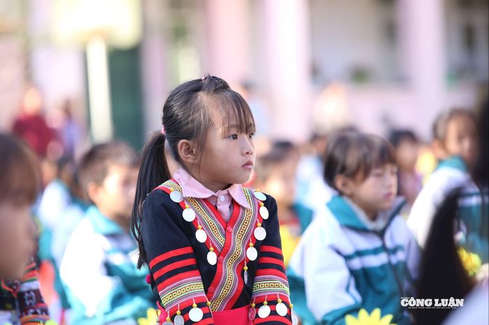 Người thầy không chỉ là người truyền đạt kiến thức, mà còn là người lái đò, gieo mầm tri thức và nhân cách bằng trái tim, sự kiên nhẫn, sự nhẫn nại và lòng bao dung.