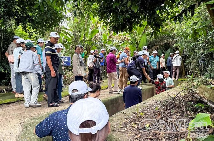 Thành viên trong đoàn trải nghiệm những địa đạo nằm trong khu rừng nguyên sinh Trung ương cục miền Nam.
