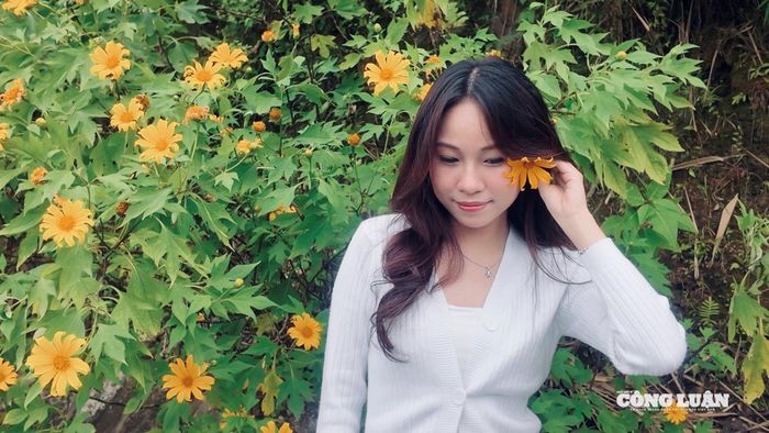 Dù sinh sống và làm việc tại Hà Nội, đây lại là lần đầu tiên bạn Cẩm Hà đến Ba Vì đúng mùa dã quỳ nở. “Hôm nay mình đến cùng nhóm bạn để lưu giữ khoảnh khắc đẹp với hoa dã quỳ, mình rất ấn tượng với màu sắc của loài hoa này, hy vọng là mình sẽ có thật nhiều bức ảnh đẹp để đăng tải trên mạng xã hội.” - Cẩm Hà chia sẻ.