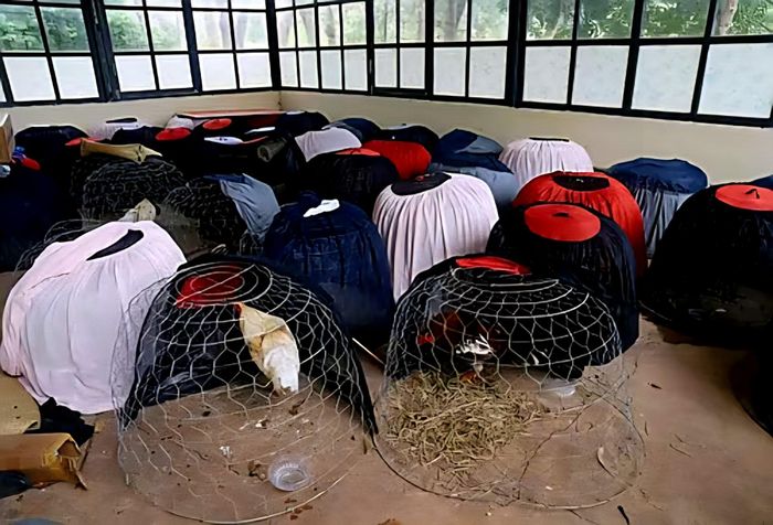 Tang vật Công an thu giữ.