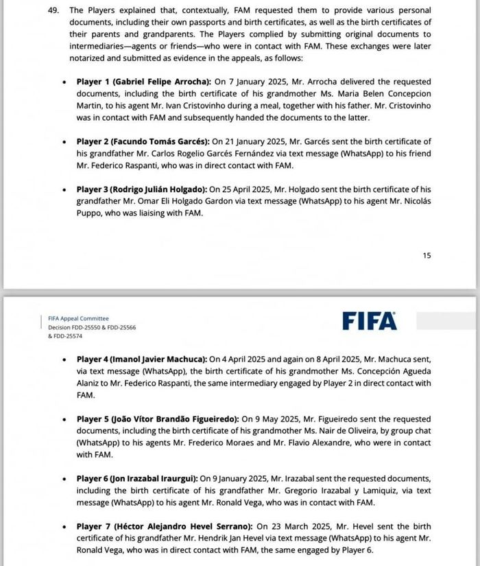 Lời khai bất ngờ của 7 cầu thủ nhập tịch (Ảnh: FIFA)